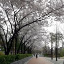 면목동-127 이미지