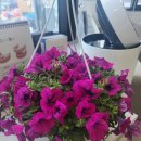 안윤성치과의원 이미지