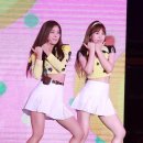 레드빠나나