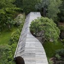 URBAN TREE 39 이미지