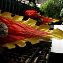 태극무술관 이미지