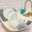 스카리아 이미지