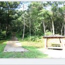 미숭산자연휴양림 이미지