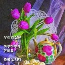 따뜻한 말 한 마디 이미지