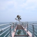 등기산스카이워크 이미지