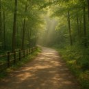 사라실 예술촌 | 광양 둘레길 BEST 5 – 직접 걸어보며 느낀 힐링 코스 총정리