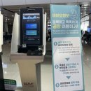 지슬하우스 | 기록 / 2박 3일 제주여행 Day 1 (김포공항 국내선 탑승, 그때그집 함덕, 제주에어비앤비 지슬하우스 후기)