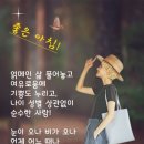 해피데이 이미지