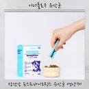 꼬리 흔드는 강아지 | 강아지유산균 고민 끝 강아지알러지·강아지발사탕 잡아준 알로키친 이너플로우 유산균 후기