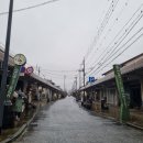 친구들과 일본 돗토리 2박3일 벚꽃 패키지 여행 후기..사카이미나토/돗토리/요나고/마쓰에