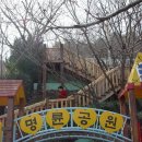 명륜자연유치원 이미지