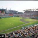 백석생활체육공원 야구장 | 인천SSG 랜더스필드 야간 경기 즐길 거리와 편의 집중