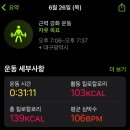 조이펫헬스 | 6월 넷째 주 일상 수영일기 감자요리 다이소 펫용품