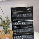 ㈜심플라인[제2공장] | 종로금은방 이너컨츠피어싱,커플링,팔찌,예물반지 예쁜 오늘나의주얼리 솔직후기♡