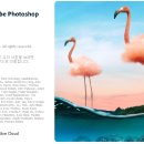 스마트폰과 포토샵활용 이미지