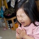 희동이네 이미지