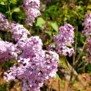 원미로164번길 이미지