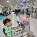 이커라 음식점 | 두돌 쌍둥이 데리고 제주도 2박3일! 애월 숙소부터 아기 데리고갈만한 맛집까지