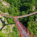 문학을 통해 떠나는 조선역사 여행 이미지