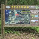 스포츠타운길 티스토리