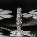 견고하개 이미지