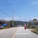 섬진로 티스토리