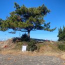 해안의 집 이미지