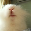 오물오물 이미지
