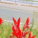 산골물소리 이미지