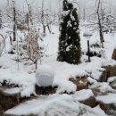 대호농장 이미지