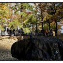 사월동 지석묘군 이미지