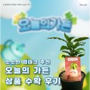오늘의 집, 오늘의 가든 상품 수확 후기와 소소한 앱테크 추천