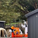 큰마당 오토캠핑장 이미지