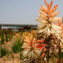 금강 오일뱅크 이미지