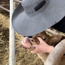 현태농장 이미지