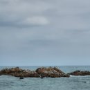 문무 | 경주 문무대왕릉 방문후기, 주차 정보 정리