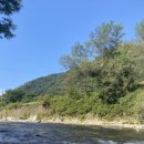 유명산밸리 캠핑장 이미지