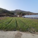 옥터농장 이미지