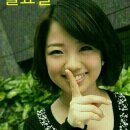 세로운 이미지
