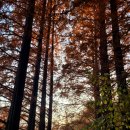 안담농장 이미지