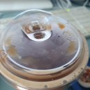 스타벅스 인천도화DT점 티스토리