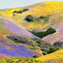 살다보니 마음 편한게 좋다 이미지