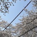 물태리 다목적회관 이미지