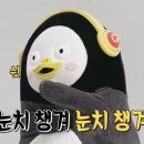 서후리 캠핑장 이미지