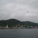 블루로드다리 Daum카페