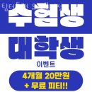 팀터틀랫유성 이미지
