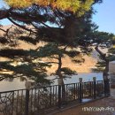 카페나루터로 이미지