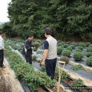 주산농장 이미지