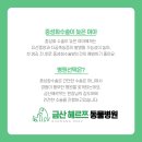 금산헤르쯔 동물병원 네이버블로그