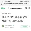쏘잉트리